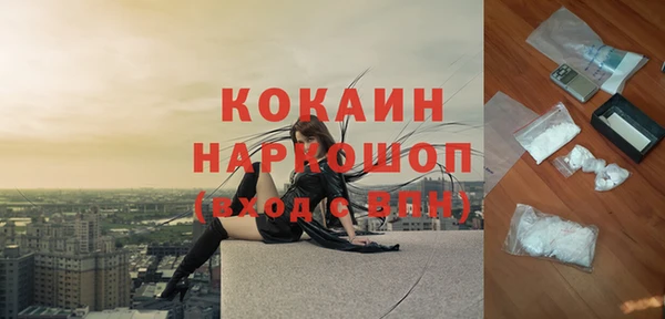 дживик Арсеньев
