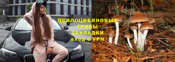 дживик Арсеньев