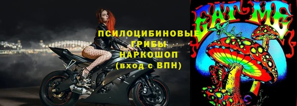 дживик Арсеньев