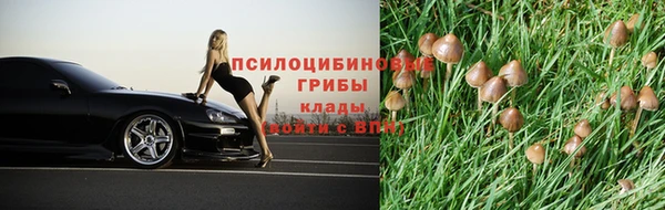 дживик Арсеньев